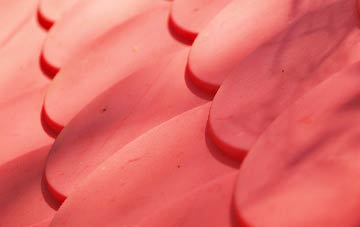 Fleuchary plastic roof costs