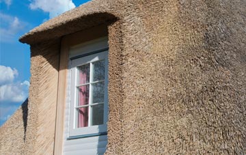 Fleuchary thatch roof disadvantages