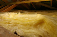 Fleuchary pitch roof insulation