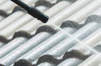 rated Fleuchary roof cleaning companies