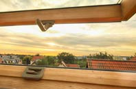 rated Fleuchary roof window companies